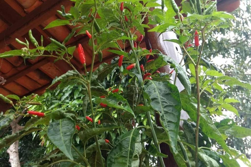 Pirenópolis Condominio Shambala Piri מראה חיצוני תמונה