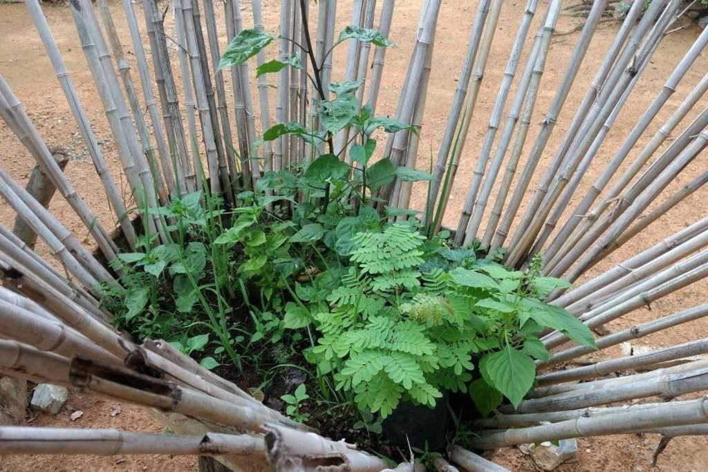 Pirenópolis Condominio Shambala Piri מראה חיצוני תמונה
